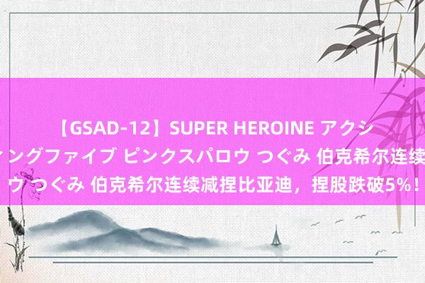 【GSAD-12】SUPER HEROINE アクションウォーズ 超翼戦隊ウィングファイブ ピンクスパロウ つぐみ 伯克希尔连续减捏比亚迪，捏股跌破5%！