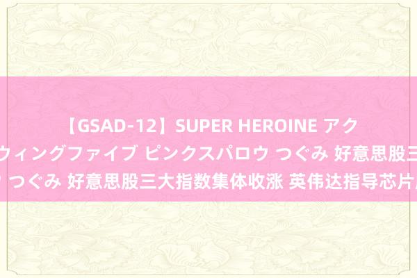 【GSAD-12】SUPER HEROINE アクションウォーズ 超翼戦隊ウィングファイブ ピンクスパロウ つぐみ 好意思股三大指数集体收涨 英伟达指导芯片股飙升