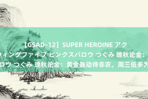 【GSAD-12】SUPER HEROINE アクションウォーズ 超翼戦隊ウィングファイブ ピンクスパロウ つぐみ 晚秋论金：黄金轰动待非农，周三低多为主