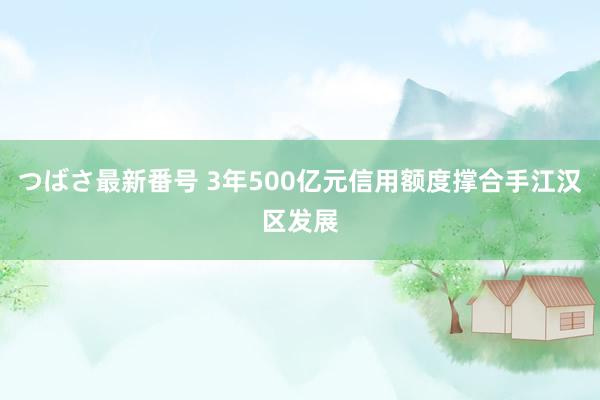 つばさ最新番号 3年500亿元信用额度撑合手江汉区发展