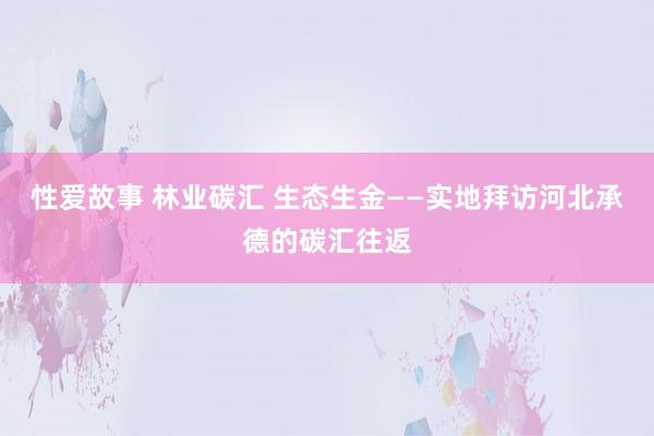 性爱故事 林业碳汇 生态生金——实地拜访河北承德的碳汇往返