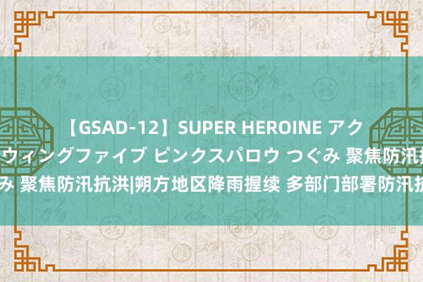 【GSAD-12】SUPER HEROINE アクションウォーズ 超翼戦隊ウィングファイブ ピンクスパロウ つぐみ 聚焦防汛抗洪|朔方地区降雨握续 多部门部署防汛抗洪救灾责任