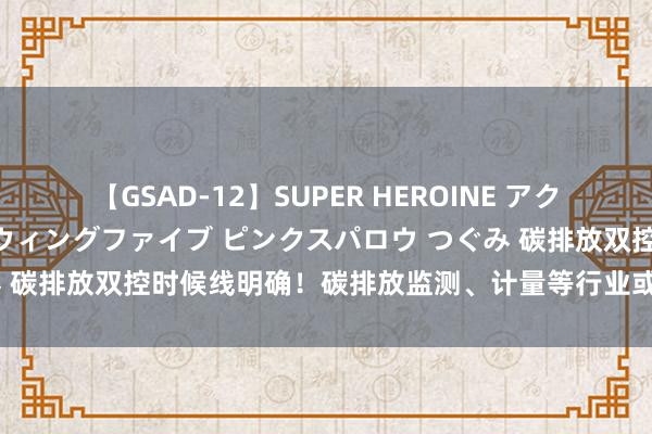 【GSAD-12】SUPER HEROINE アクションウォーズ 超翼戦隊ウィングファイブ ピンクスパロウ つぐみ 碳排放双控时候线明确！碳排放监测、计量等行业或将迎来新机遇