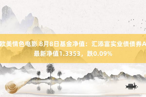 欧美情色电影 8月8日基金净值：汇添富实业债债券A最新净值1.3353，跌0.09%