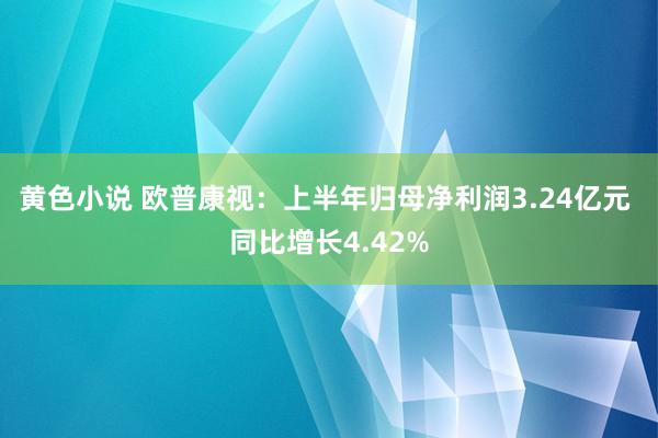 黄色小说 欧普康视：上半年归母净利润3.24亿元 同比增长4.42%