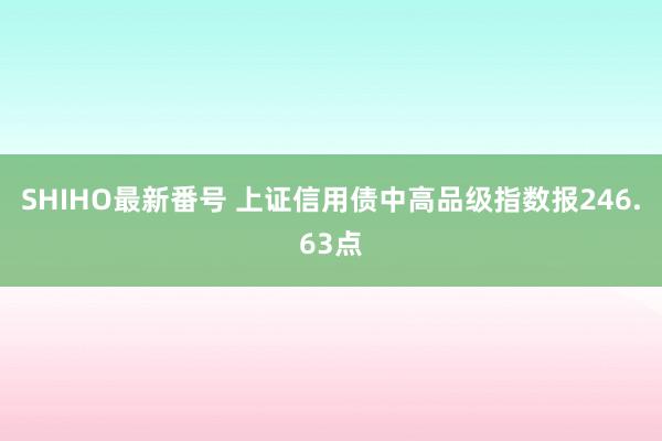 SHIHO最新番号 上证信用债中高品级指数报246.63点