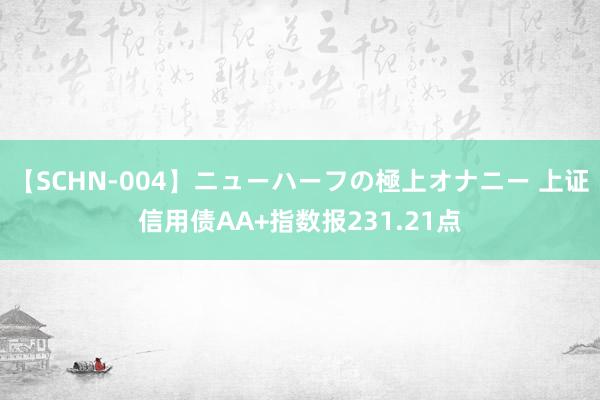 【SCHN-004】ニューハーフの極上オナニー 上证信用债AA+指数报231.21点