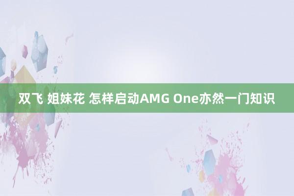 双飞 姐妹花 怎样启动AMG One亦然一门知识