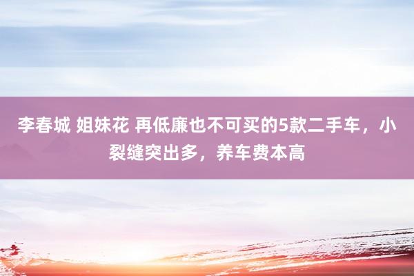 李春城 姐妹花 再低廉也不可买的5款二手车，小裂缝突出多，养车费本高