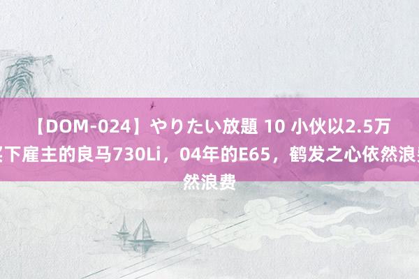 【DOM-024】やりたい放題 10 小伙以2.5万买下雇主的良马730Li，04年的E65，鹤发之心依然浪费