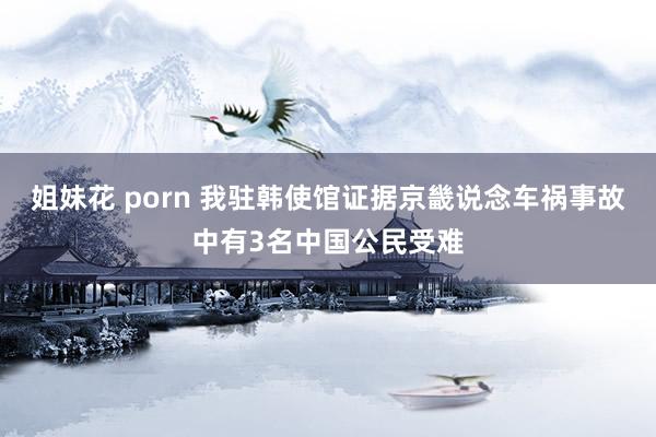 姐妹花 porn 我驻韩使馆证据京畿说念车祸事故中有3名中国公民受难