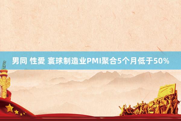 男同 性愛 寰球制造业PMI聚合5个月低于50%