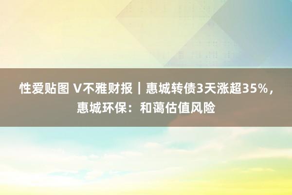 性爱贴图 V不雅财报｜惠城转债3天涨超35%，惠城环保：和蔼估值风险