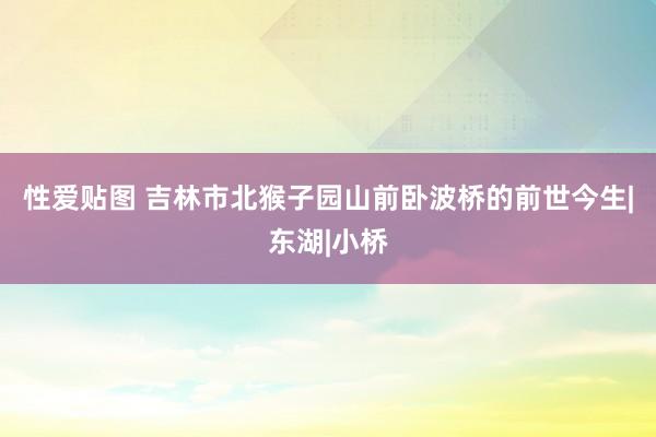 性爱贴图 吉林市北猴子园山前卧波桥的前世今生|东湖|小桥