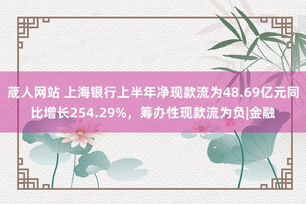 荿人网站 上海银行上半年净现款流为48.69亿元同比增长254.29%，筹办性现款流为负|金融