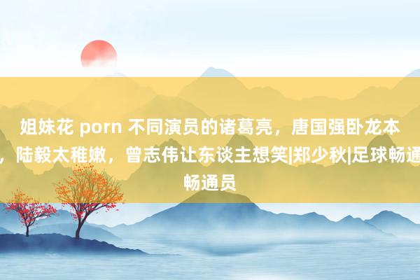 姐妹花 porn 不同演员的诸葛亮，唐国强卧龙本尊，陆毅太稚嫩，曾志伟让东谈主想笑|郑少秋|足球畅通员