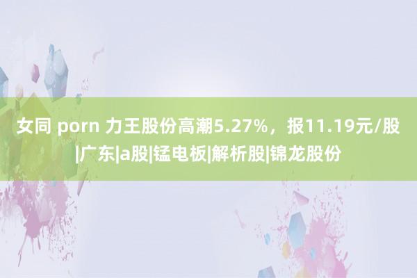 女同 porn 力王股份高潮5.27%，报11.19元/股|广东|a股|锰电板|解析股|锦龙股份