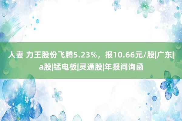 人妻 力王股份飞腾5.23%，报10.66元/股|广东|a股|锰电板|灵通股|年报问询函